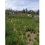  Land for sale in Huachi Grande, Ambato, Huachi Grande