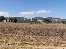  Terreno (Parcela) en venta en San Agustin Tlaxiaca, Hidalgo, San Agustin Tlaxiaca