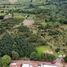  Land for sale in Chiquilistlan, Jalisco, Chiquilistlan