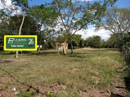  Land for sale in Tolima, Ibague, Tolima