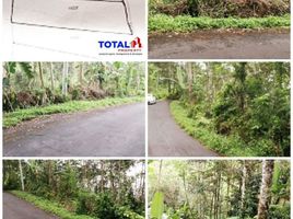  Land for sale in Jembrana, Bali, Negara, Jembrana