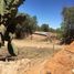 Land for sale in Zacatecas, Zacatecas, Zacatecas, Zacatecas