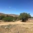  Land for sale in Zacatecas, Zacatecas, Zacatecas, Zacatecas