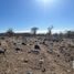  Land for sale in Pilcaya, Guerrero, Pilcaya
