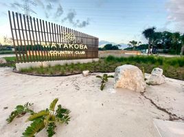  Grundstück zu verkaufen in Cozumel, Quintana Roo, Cozumel