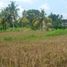  Land for sale in Ubud, Gianyar, Ubud