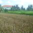  Land for sale in Ubud, Gianyar, Ubud