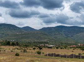  Grundstück zu verkaufen in Allende, Guanajuato, Allende