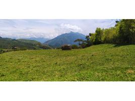  Terrain for sale in Fredonia, Antioquia, Fredonia