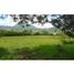  Terrain for sale in Fredonia, Antioquia, Fredonia