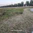  Land for sale in Celaya, Guanajuato, Celaya