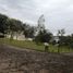  Land for sale in Zapopan, Jalisco, Zapopan, Jalisco