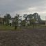  Land for sale in Zapopan, Jalisco, Zapopan, Jalisco