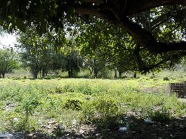  Grundstück zu verkaufen in Panuco, Veracruz, Panuco