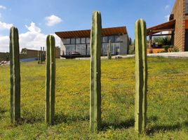  Land for sale in Tepeji Del Rio De Ocampo, Hidalgo, Tepeji Del Rio De Ocampo, Hidalgo