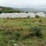  Land for sale in Imantag, Imbabura, Imantag