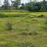  Terreno (Parcela) en venta en Ngaglik, Yogyakarta, Ngaglik