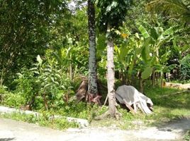 2 Bedroom Villa for sale in Sedayu, Bantul, Sedayu