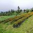  Land for sale in Banjar, Bali, Banjar, Buleleng