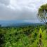  Terrain for sale in Buleleng, Bali, Banjar, Buleleng