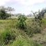  Land for sale in Ubud, Gianyar, Ubud