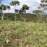  Land for sale in Cali, Valle Del Cauca, Cali