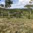  Land for sale in Cali, Valle Del Cauca, Cali