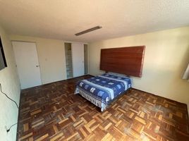 1 Schlafzimmer Appartement zu vermieten in Benito Juarez, Mexico City, Benito Juarez