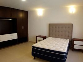 2 Schlafzimmer Wohnung zu vermieten in Carmen, Campeche, Carmen
