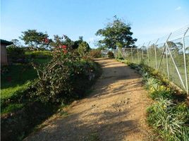 4 Habitación Casa en venta en Valle Del Cauca, Dagua, Valle Del Cauca