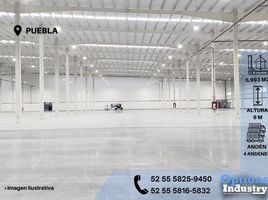 Studio Maison for rent in San Andres Cholula, Puebla, San Andres Cholula
