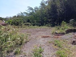  Land for sale in Yogyakarta, Seyegan, Sleman, Yogyakarta