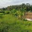  Terrain for sale in Ginyar, Gianyar, Ginyar