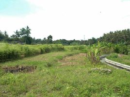  Terrain for sale in Ginyar, Gianyar, Ginyar