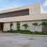  Terreno (Parcela) en venta en Conkal, Yucatán, Conkal