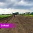  Land for sale in Aduwerna, Tegal, Aduwerna