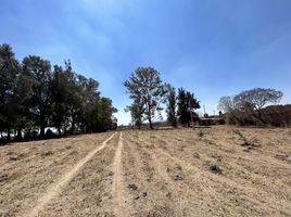  Grundstück zu verkaufen in Zapopan, Jalisco, Zapopan, Jalisco