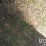  Land for sale in Ixtlahuacan De Los Membrillos, Jalisco, Ixtlahuacan De Los Membrillos