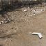  Land for sale in Ixtlahuacan De Los Membrillos, Jalisco, Ixtlahuacan De Los Membrillos
