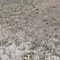  Land for sale in Ixtlahuacan De Los Membrillos, Jalisco, Ixtlahuacan De Los Membrillos