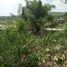  Land for sale in Liloan, Cebu, Liloan