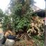  Terreno (Parcela) en venta en Quezon City, Metro Manila, Quezon City, Eastern District, Metro Manila