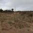  Land for sale in Biedma Chubut, Biedma