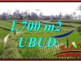  Land for sale in Tegallalang, Gianyar, Tegallalang