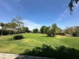 Terrain à vendre à Atlixco, Puebla, Atlixco, Puebla