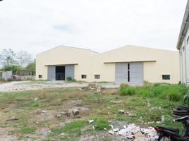  Land for rent in Central Luzon, Magalang, Pampanga, Central Luzon