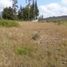  Land for sale in Ruminahui, Pichincha, Sangolqui, Ruminahui