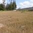  Land for sale in Ruminahui, Pichincha, Sangolqui, Ruminahui