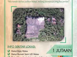  Land for sale in Yogyakarta, Pengasih, Kulon Progo, Yogyakarta