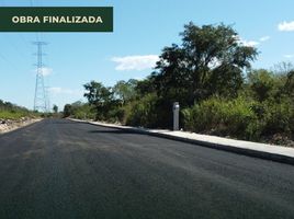  Land for sale in Merida, Yucatan, Merida
